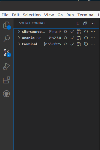 VS Code git repo view